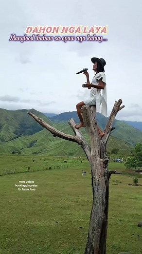 Dahon: Everything You Need to Know About Dahon Bikes