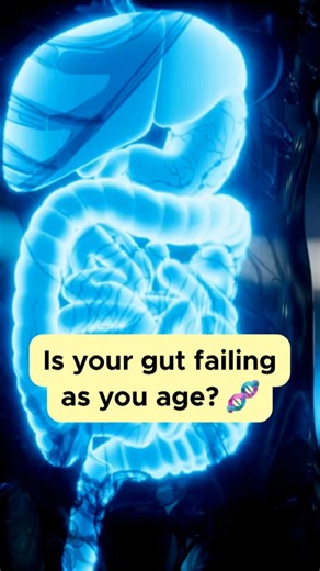 🧬 Digestion Changes with Age 🧬