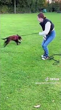 아주 신났네 신났어ㅋ