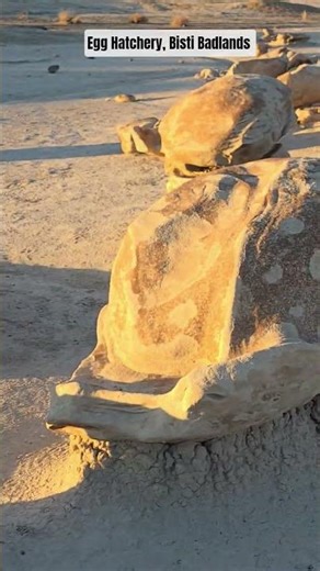 The Egg Hatchery at Bisti Badlands
