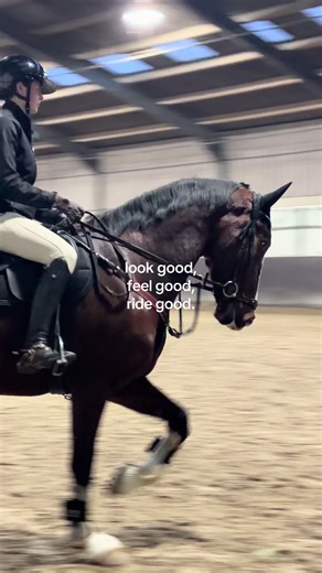 Dressage & Showjumping Competition Tips: Look Good, Feel Good, Ride Good