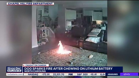 Dog sparks fire chewing on lithium-ion battery
