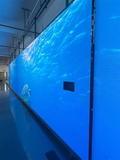 Healing the Oceans: Innovative Solutions