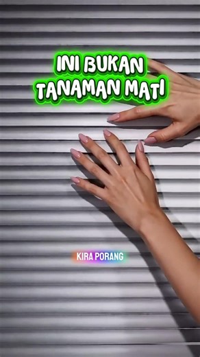 JANGAN SALAH, INI BUKAN TANAMAN MATI.!