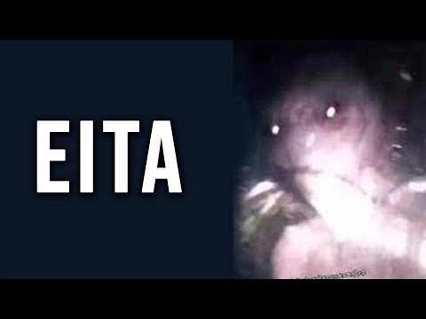 AMERICANO POSTOU VÍDEO DO ET DE VARGINHA??