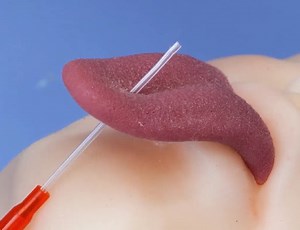 1.6M views · 5.8K reactions | Understanding Common Medical Procedures: A Complete Guide | 5-Minute Workouts | Facebook