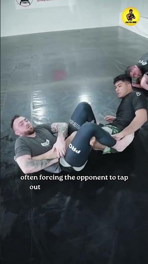 The Figure Four Leg Lock is a submission where the fighter #shorts #ufca #mma #boxing