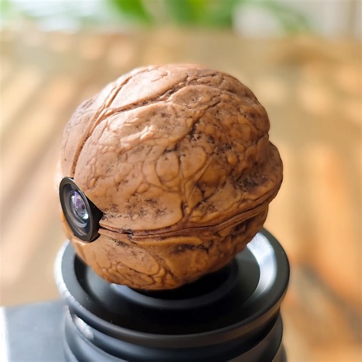 Secret Walnut Spy Camera Watches Back