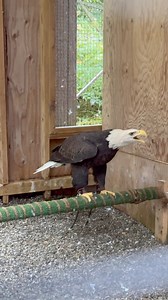 171K views · 10K reactions | Happy to report that we passed our first...