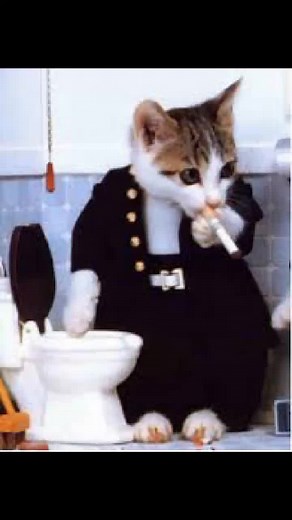 Creative Cat Costumes: Cats in Funny Human Scenarios