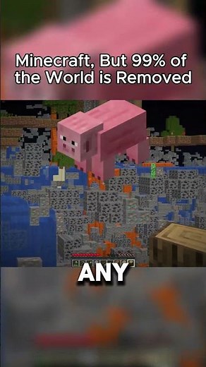 All Blocks Were Removed 🫠 #minecraft #gaming #funny