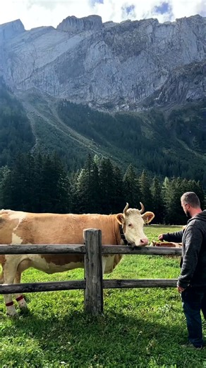 Meet me in the Vaud Alps, at Solalex!