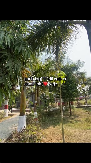 Good Night Wishes and Love Messages