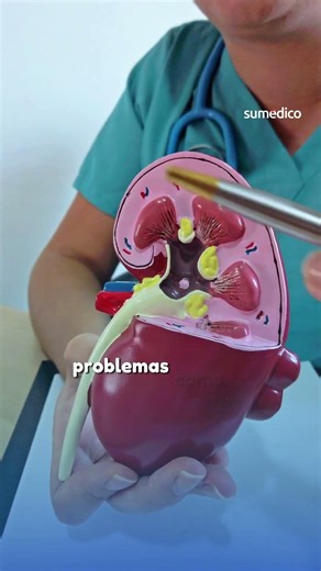 Bad habits for your kidneys