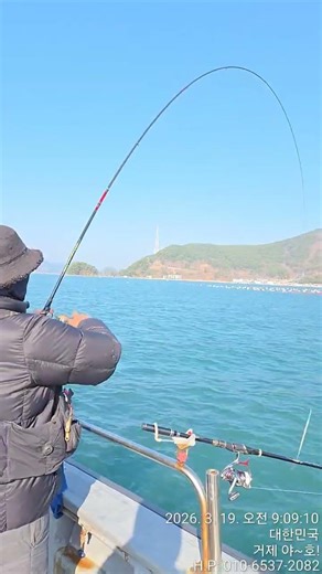감성돔낚시 거제도 영등철 선상낚시 4짜4짜4짜4짜 랜딩영상~거제 야호