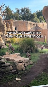 17K views · 108 reactions | Nobody likes a pressure ulcer. | Chronicles of Nursing | Facebook