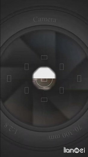 Sri Lankan bus Games.