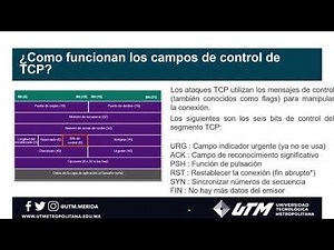 3-way handshake, ¿Qué es?, ¿Cómo se inicia una conexión TCP?