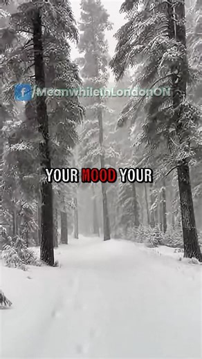 London Ontario winter hits different. In London Ontario, what actually helps you get through it? #LondonOntario #LdnOnt #OntarioWinter #LondonCommunity #meanwhileinlondonontario | Meanwhile in London, Ontario