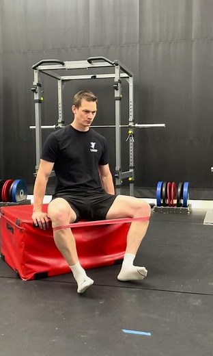 Seated External Hip Rotations