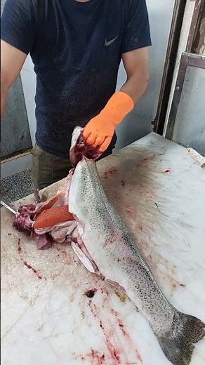 Fillet a Fish at Home | Kitchen Knife Filleting Made Simple