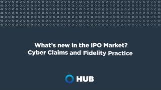 How does the risk of cyber threats impact an IPO? More than you might...