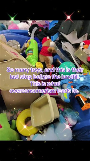 Reduce, Reuse, Recycle: The Fate of Toys at Goodwill