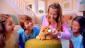 63K views · 474 reactions | Introducing My Dream Puppy from Little Live Pets, one of the Toys 'R' Us Top 15 Hot Holiday Toys for 2016! These cute little puppies need a loving home. As soon as you look into their expressive eyes you will want to make them your own! Pet and cuddle them- they look, move and feel just like a real puppy! They're waiting for a friend like you to adopt and love them in their new fur-ever home! | Little Live- Canada | Facebook