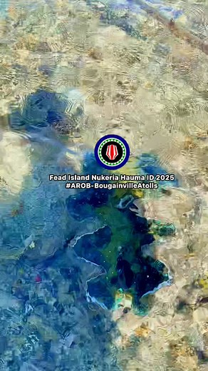 11K views · 328 reactions | This Giant clam shells from Home are so Beautiful & Different wt Unique colors. Amazing God seen in Nature. #GiantClam #BougainvilleAtolls #FeadIsland #SeaGarden | Mr. Taravaru Philip | Facebook