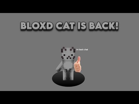 Bloxd Cat its finally uploading content