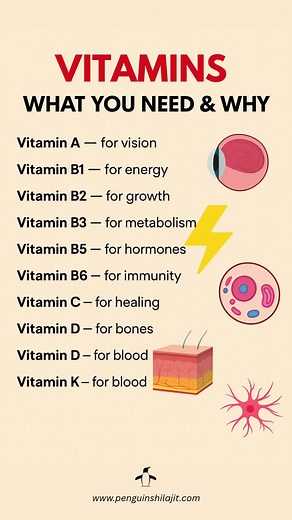 Essential Daily Vitamins for Optimal Health