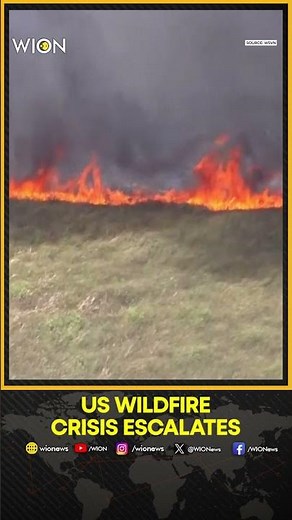 Wildfires Rage Across Southeastern US Amid Severe Drought Conditions | WION SHORTS