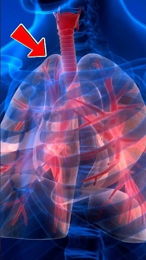 5 Best Foods to Clean Your Lungs Naturally #LungHealthTips #CleanLungsNaturally #HealthyLiving