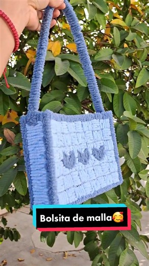 Bolsa Tejida con Malla: Tutorial paso a paso en Crochet