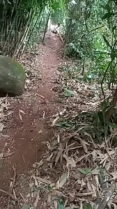 Peb tso nplej ce los li no nawb | Nkauj Xiathoj Muajhmoo