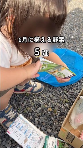6月に植える野菜5選 #家庭菜園初心者 #食育 #おうち菜園 #野菜嫌い克服 #プランター菜園 #プランター栽培 #野菜栽培