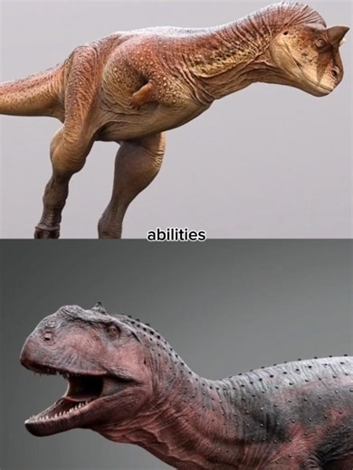 carnotaurus vs majungasaurus #dinosaur#edit#battle