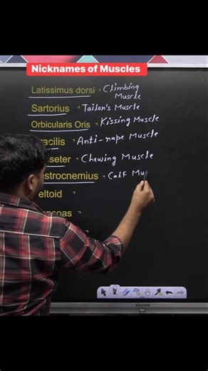 11K views · 97 reactions |  Nicknames of Muscles 樂 !! #gk #nicknames #muscles #gkquestion #biology #sciencefacts #gkfacts #exams #NEET #upsc #biologynotes #knowledgeispower #reelsviralfb #facebookreelsviral #fbreelsvideo #facebookreelsvideo #fbreelsviral #facebookreels #reelsviral #reelsfb | Krishna Thakur | Facebook