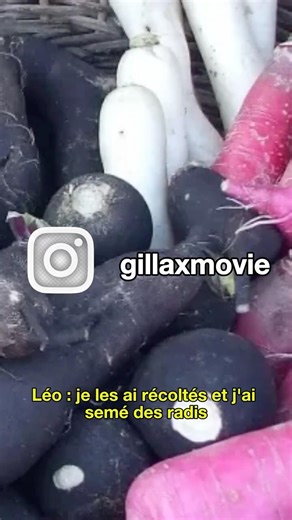 #127 : The varieties of radish - With Léo Drevet. #gardening