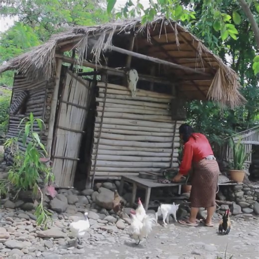 3K views · 32 reactions | find food met fruit and snail- woman Curry snail for animal to eat delicious- Cooking in forest HD | FOOD Daily | Facebook