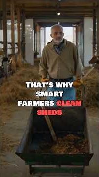 The Dirty Shed Problem Hurting Your Cows 😱🐄 | Dirty Sheds Can Reduce Milk FAST‪@mikecowfarmingtips‬