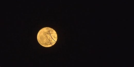 Look up to catch tonight's rare super blue moon