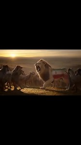 ISI Pakistan on Reels