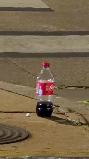 Joe Jonas Music Discoveries on Spotify and Beyond