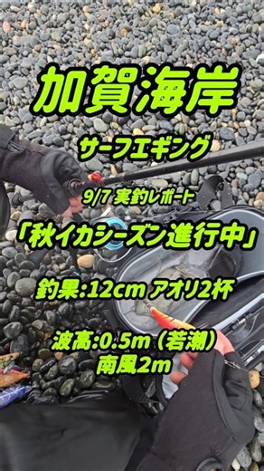 9/7 加賀海岸（エリア新保）でサーフエギング。ジグサビキで青物をチェック後、6時からエギングにチェンジ。うねりと岸波でエギが安定しないので、3.5号を中心に遠投ボトムステイ、しゃくり当たりでヒット。