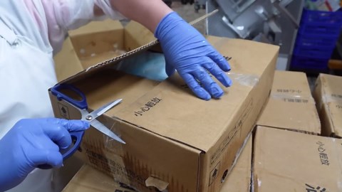 Behind the Scenes of Spicy Chicken Sausage Mass Production