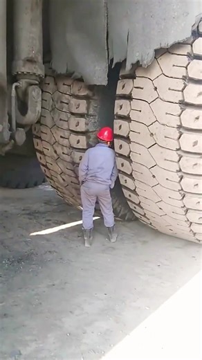 #knowledge #explore #world #learnontiktok #fyp #science | science