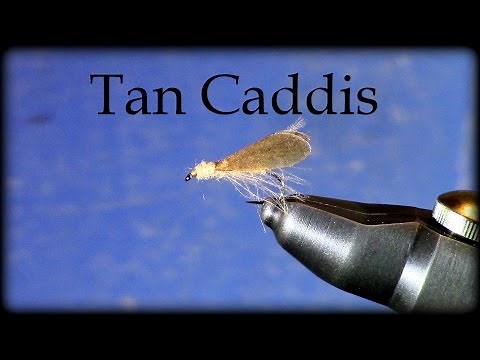 Two Minute Fly Tying: Tan Caddis