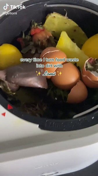 Lomi: Transforming Food Waste into Dirt | Eco-Friendly Solution