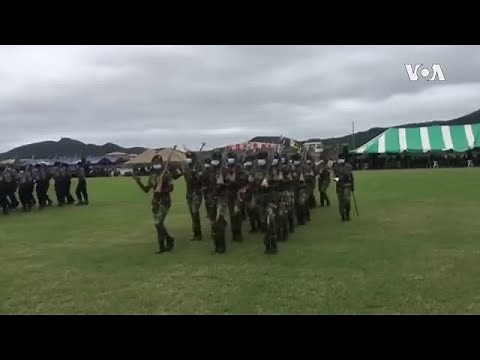 Soldiers parading in Zimbabwe on Independence Day. (Videos